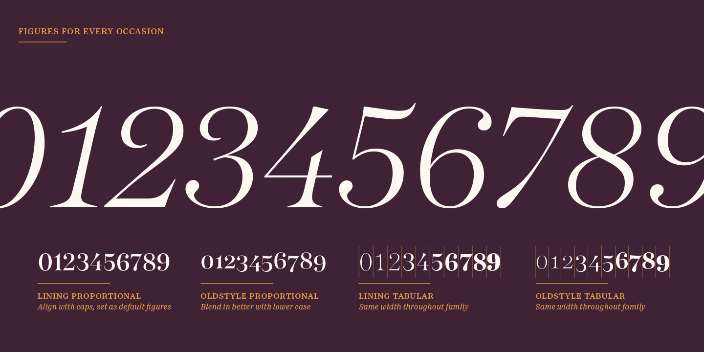 Passenger Display Extra light Italic Font preview